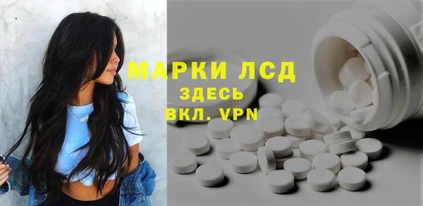 молекула духа Магадан