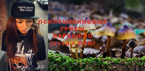 ECSTASY Лиски